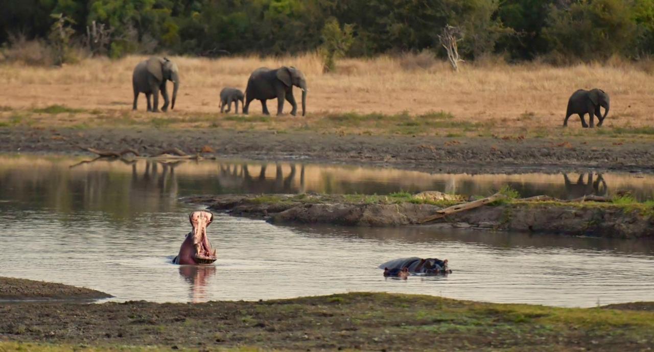 Vila Pungwe Safari Camp Rezervace Manyeleti Exteriér fotografie