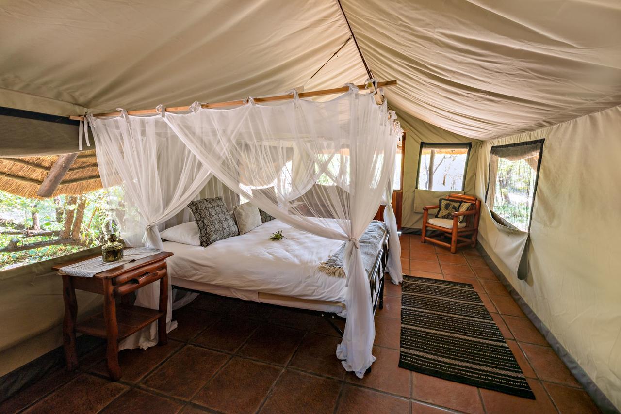 Vila Pungwe Safari Camp Rezervace Manyeleti Exteriér fotografie