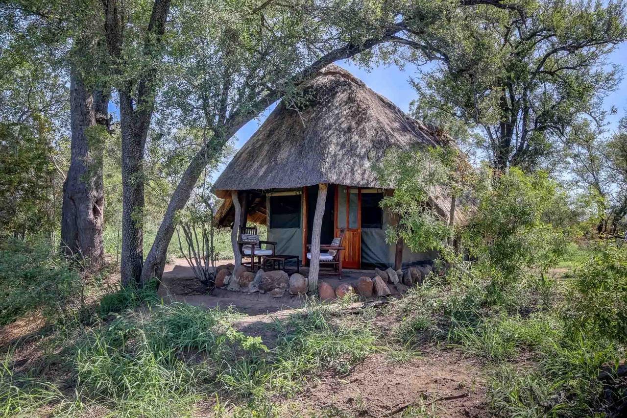 Vila Pungwe Safari Camp Rezervace Manyeleti Exteriér fotografie